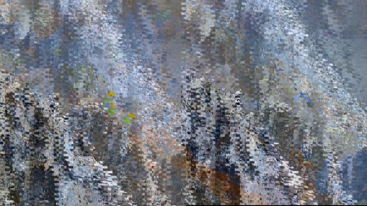 حادث مروع بالطائف.. 3 وفيات إثر سقوط سيارة من مطل جبلي