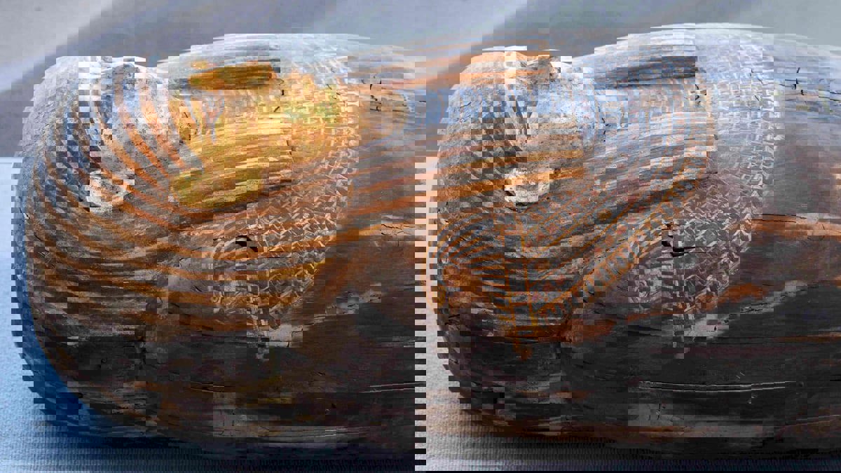 يعود للعصور الفرعونية القديمة.. مصر تعلن استرداد تابوت من أمريكا