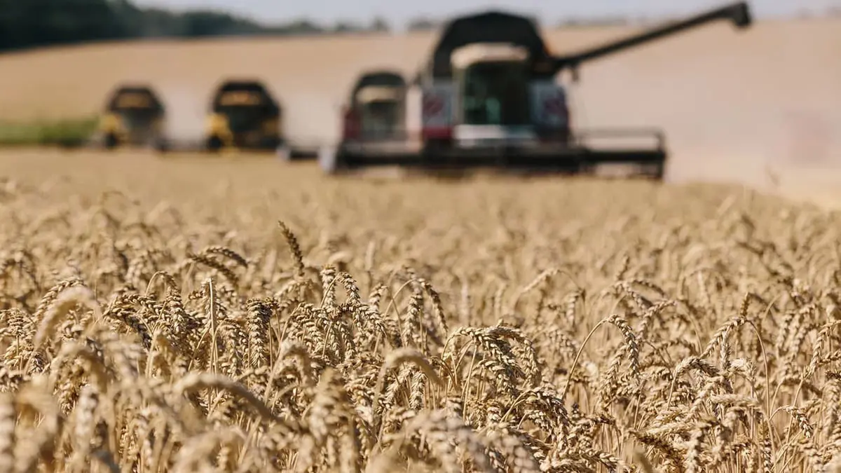 أوكرانيا: حرب روسيا قد تحرم العالم من قمحنا لثلاثة مواسم