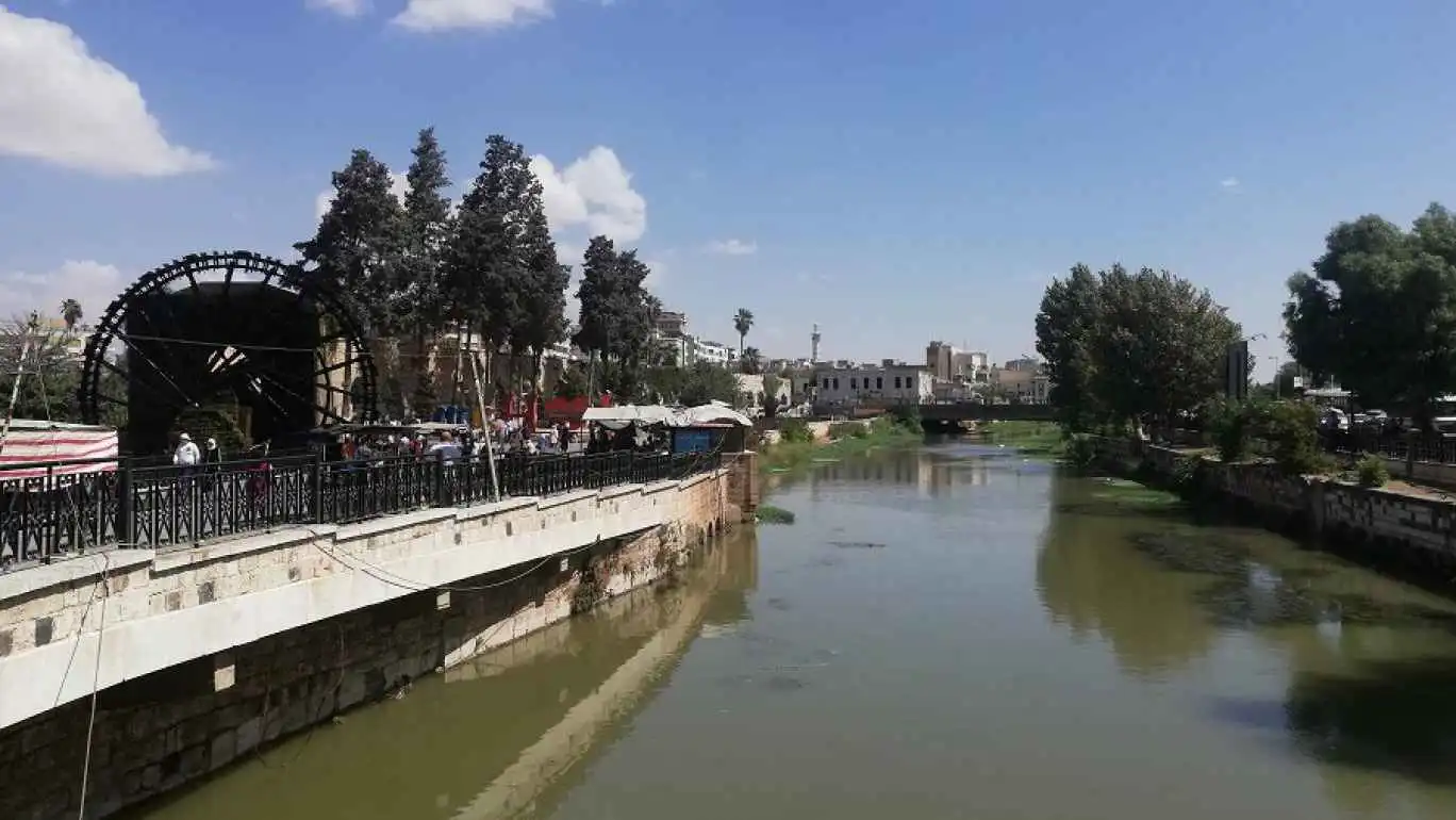 سوريا.. فيضانات العاصي تدمر المزروعات في سهل الغاب (فيديو)