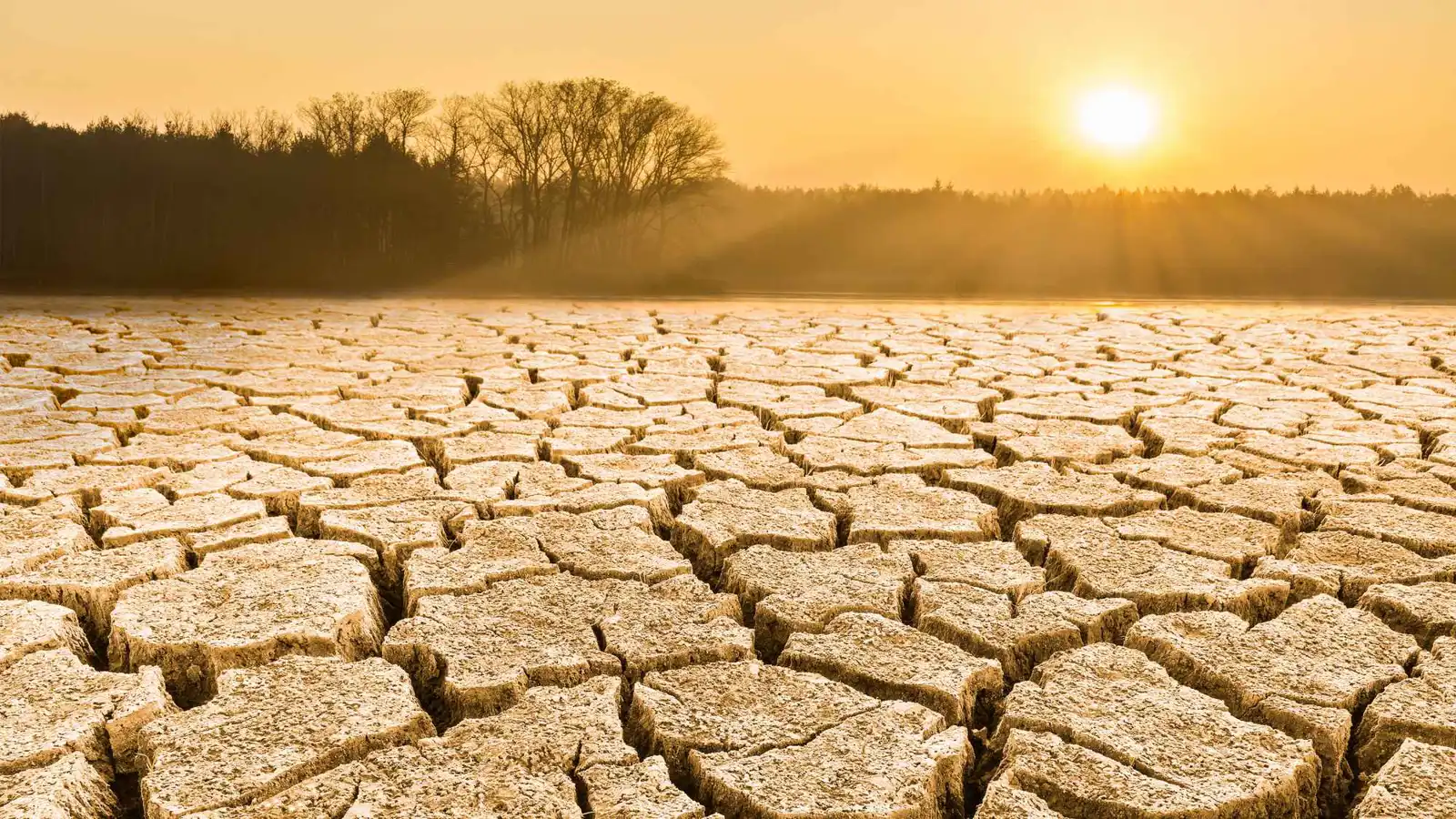 طلب حكومي غريب.. احذف رسائل بريدك الإلكتروني لتنقذ بريطانيا من العطش