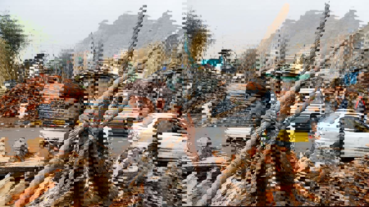 وسط ندرة الوقود.. الحرب تأكل غابات اليمن