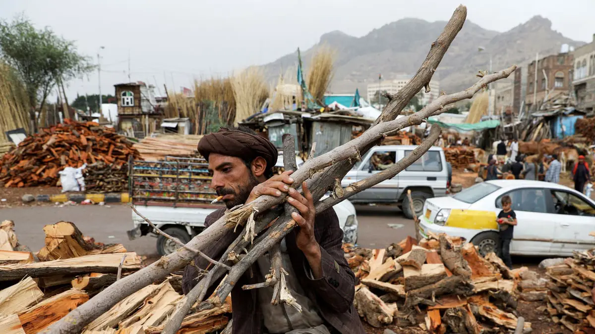 وسط ندرة الوقود.. الحرب تأكل غابات اليمن