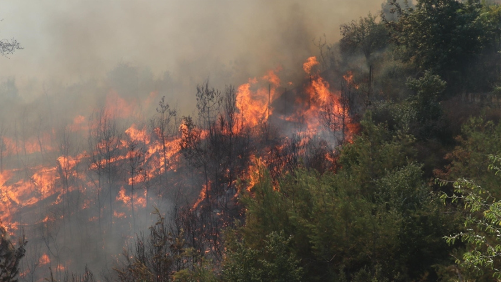 اتهامات لإسرائيل بإشعال حريق ضخم في ريف القنيطرة السوري