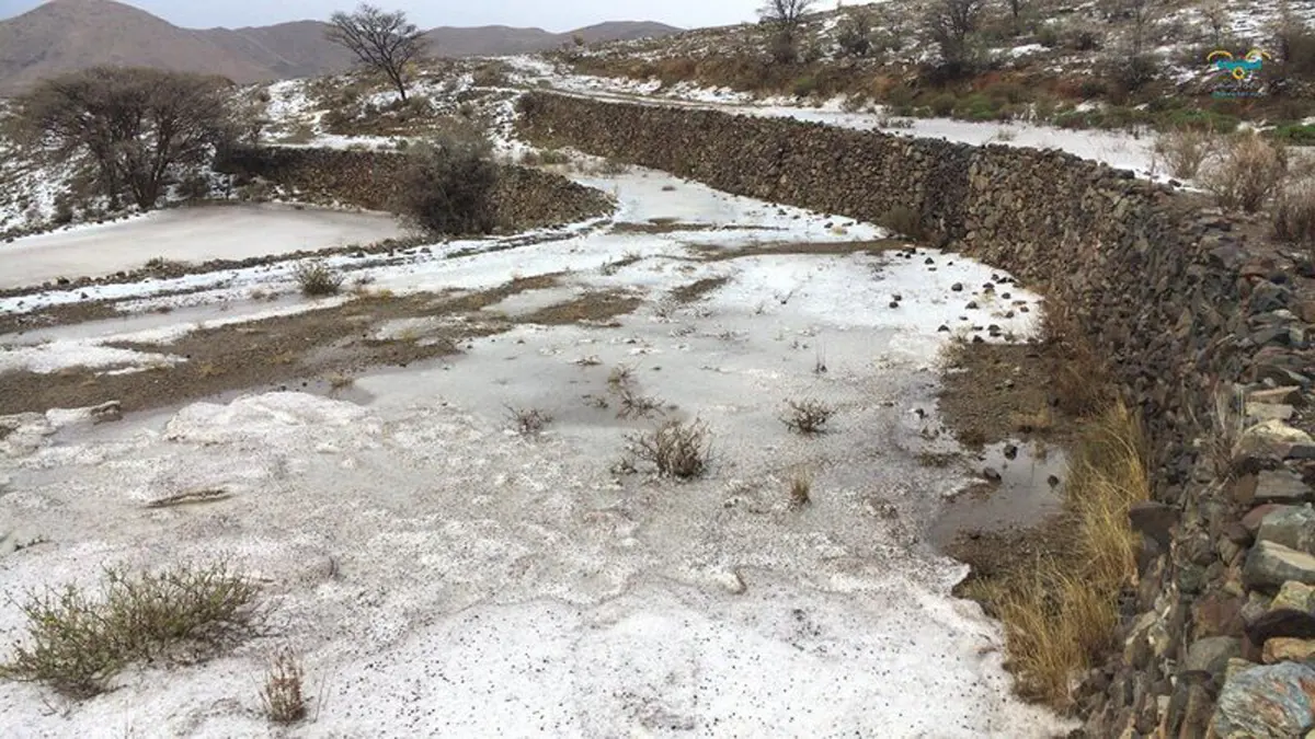 شاهد.. سراة عسير بالسعودية ترتدي الحلة البيضاء لليوم الخامس على التوالي (صور)
