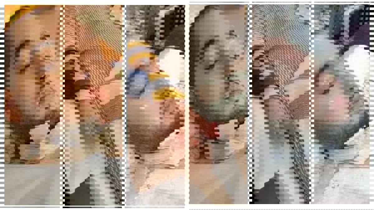 تحرك الأمير النائم يثير التكهنات.. كيف تتم تغذيته؟