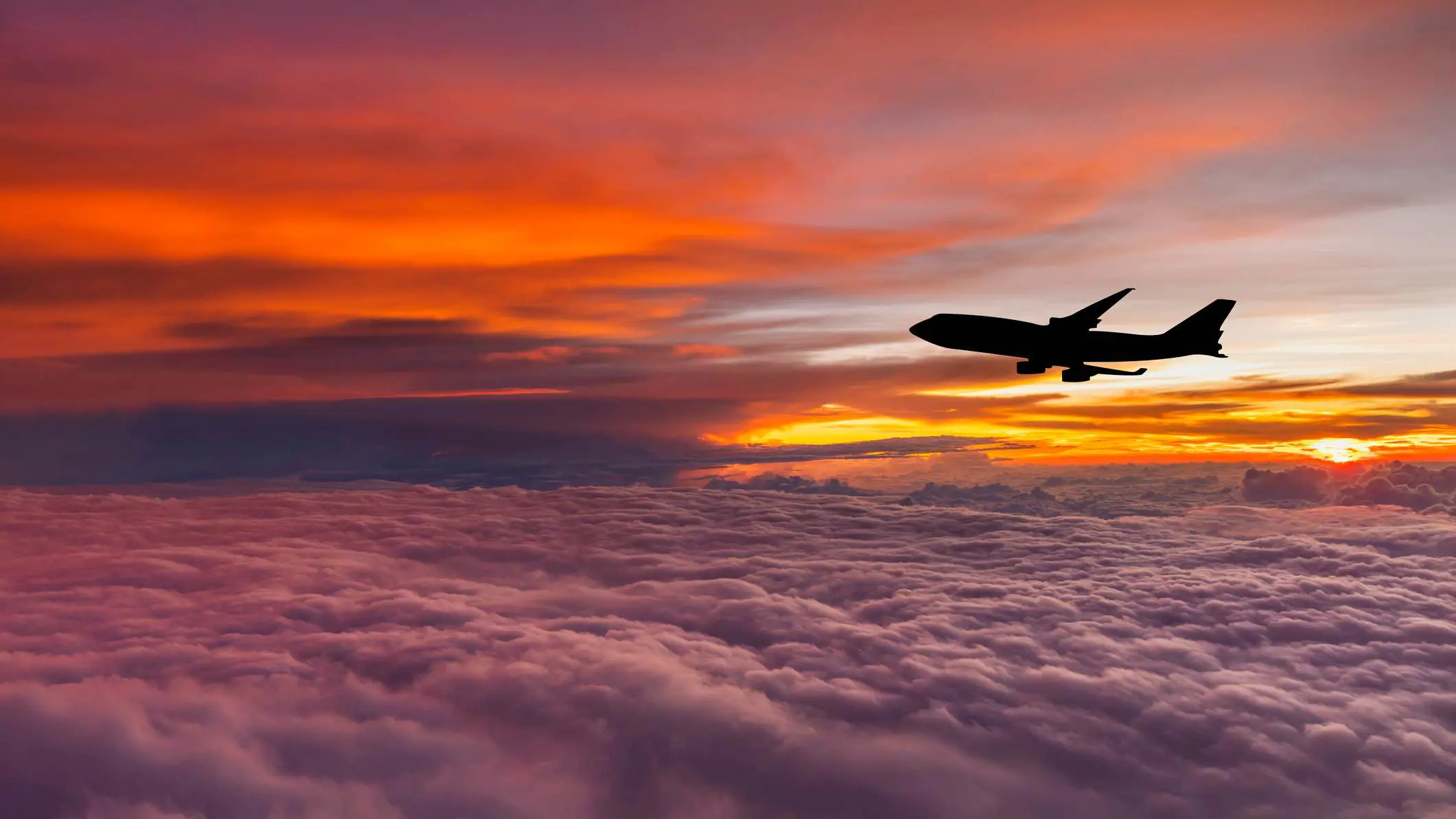 من الشواطئ إلى الصحارى.. أفضل 5 وجهات سياحية في الجزائر (صور)