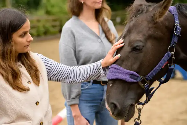 العلاج بالخيول