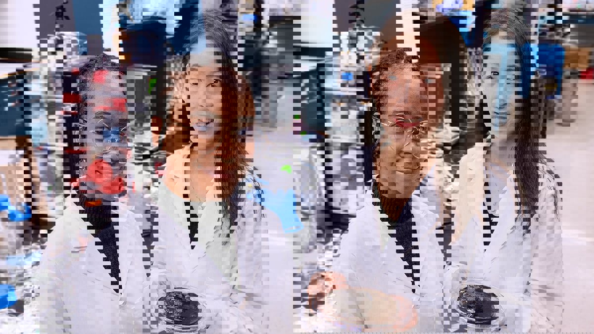 ابتكار مادة إسفنجية لتنقية المياه بالاعتماد على الطاقة الشمسية