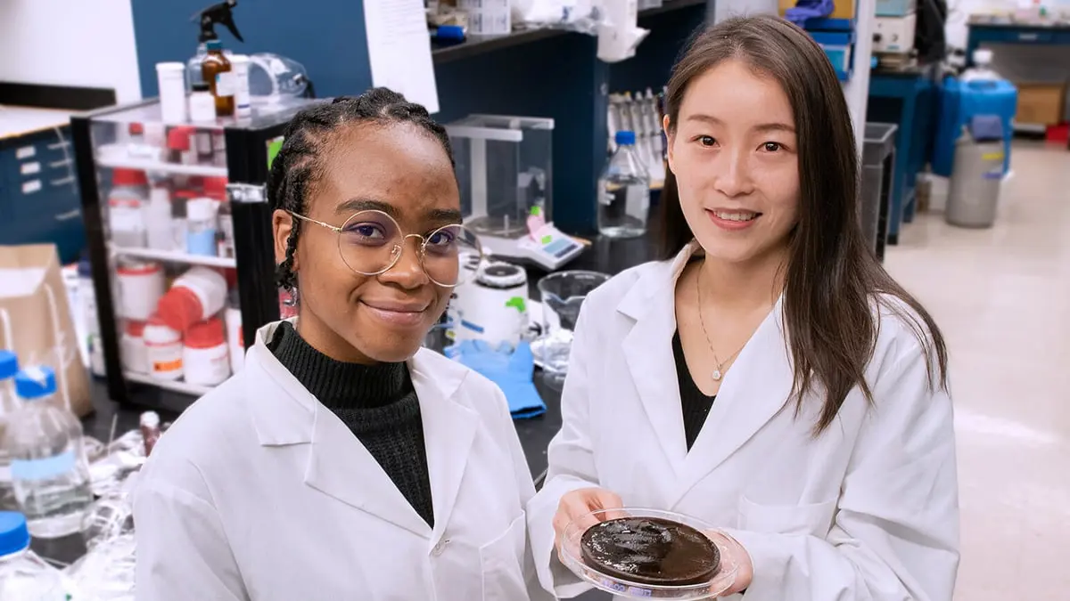 ابتكار مادة إسفنجية لتنقية المياه بالاعتماد على الطاقة الشمسية