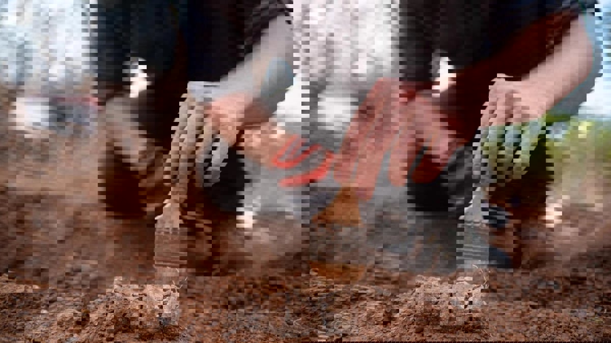 عاش قبل 230 مليون عام.. اكتشاف أقدم ديناصور في أفريقيا