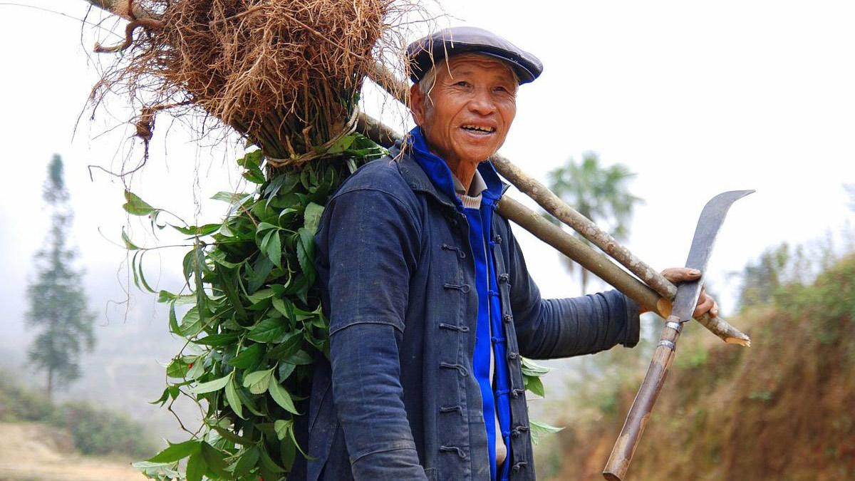 بإرادة حديدية.. مسن بلا أرجل يحوّل جبلًا جافًا إلى غابة (فيديو)