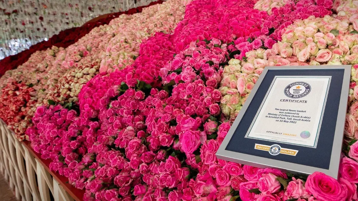 دخلت موسوعة "غينيس".. سعوديون يصنعون أكبر سلة ورد في العالم