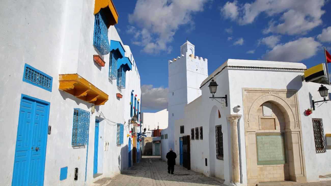 تسميم قطط في مطعم جامعي يُثير ضجة في تونس