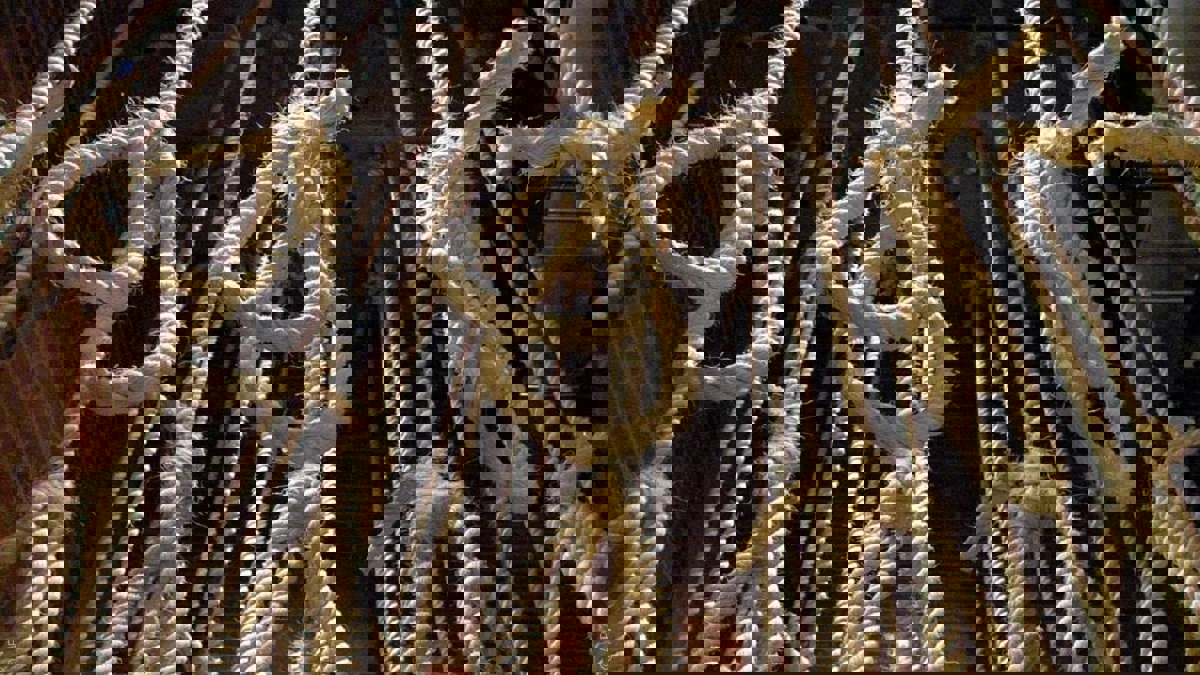 الإعدام شنقًا لأربعة متشددين تسلمهم العراق من قوات سوريا الديمقراطية