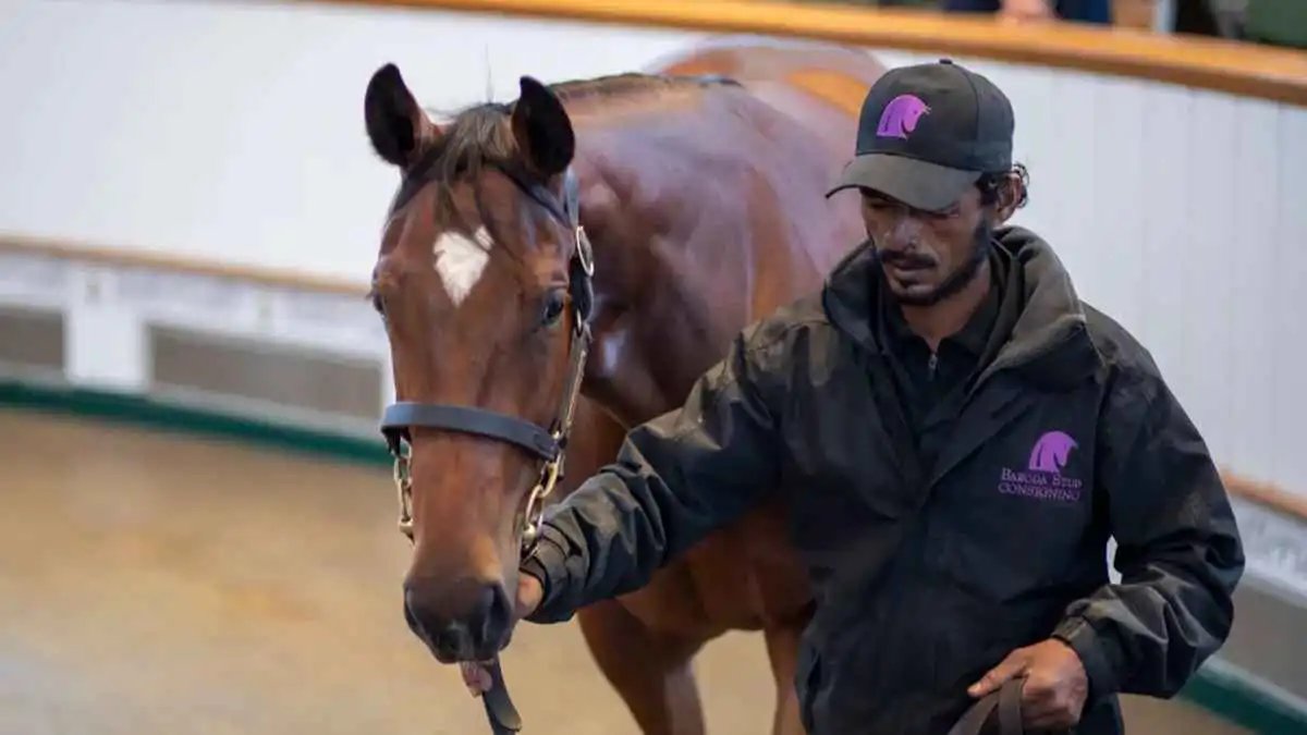 حصان خارق يمنح 3 مراهقين ثروة ضخمة