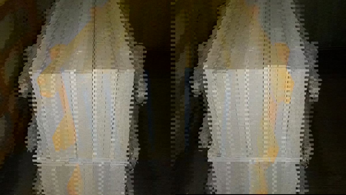 بالتعاون مع جمارك دبي.. أستراليا تضبط نحو طنين من المواد المخدرة