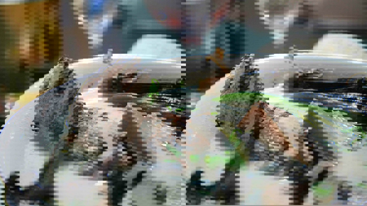 شعبية لحم الخفافيش في إندونيسيا تتغلب على الخوف من "كورونا"