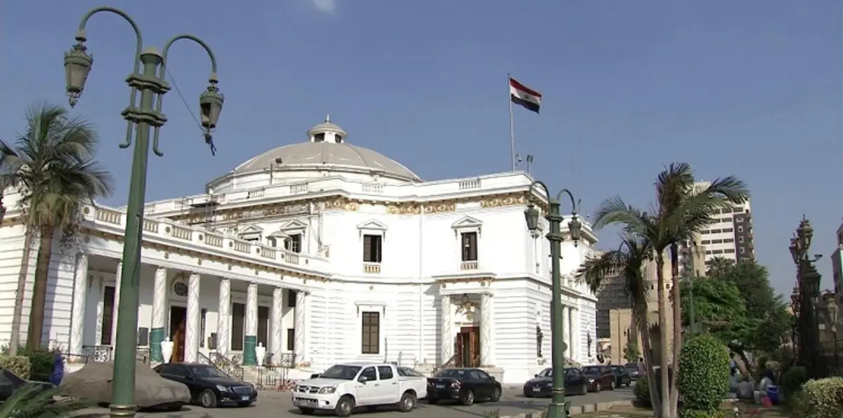 البرلمان المصري يحقق مع نائب نشر "فيديو جنسي" لزميله
