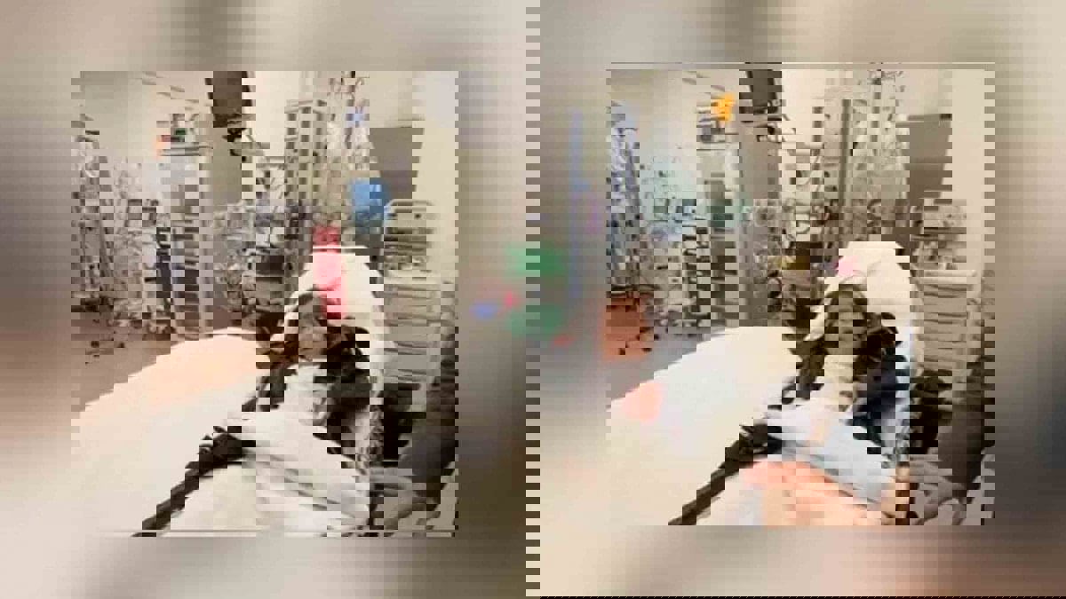 نجاح العملية الجراحية للطفل براك حسين في السعودية