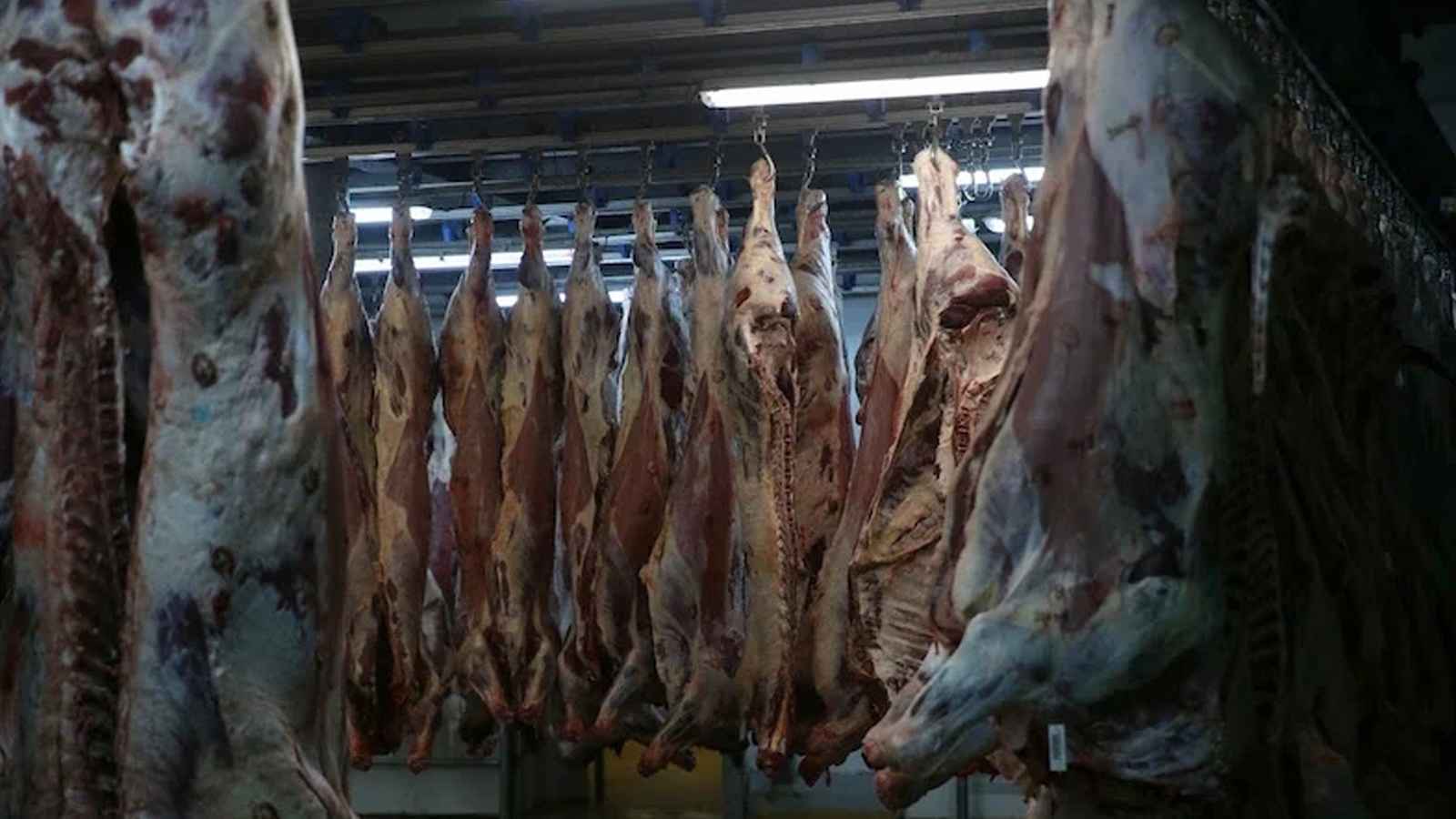 صورة أرشيفية لمجزرة لحوم