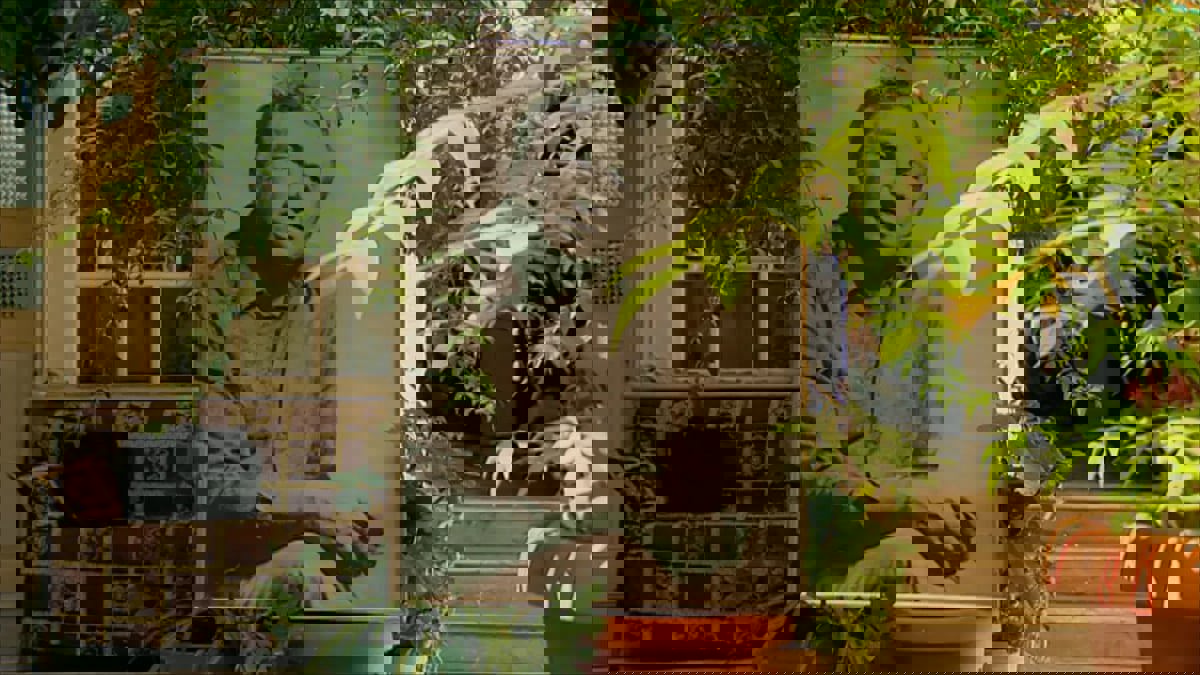 في ذكرى رحيله.. كيف جعل نزار قباني القصيدة خبزا للبسطاء والحالمين؟ 