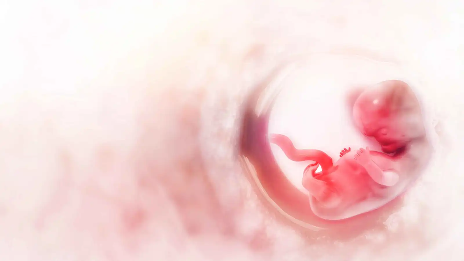 المواد الكيميائية الدائمة تغير دماغ الأطفال منذ الحمل