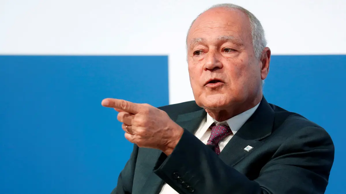 أبو الغيط: لن تكون لتدخلات أردوغان في المنطقة نهاية طيبة