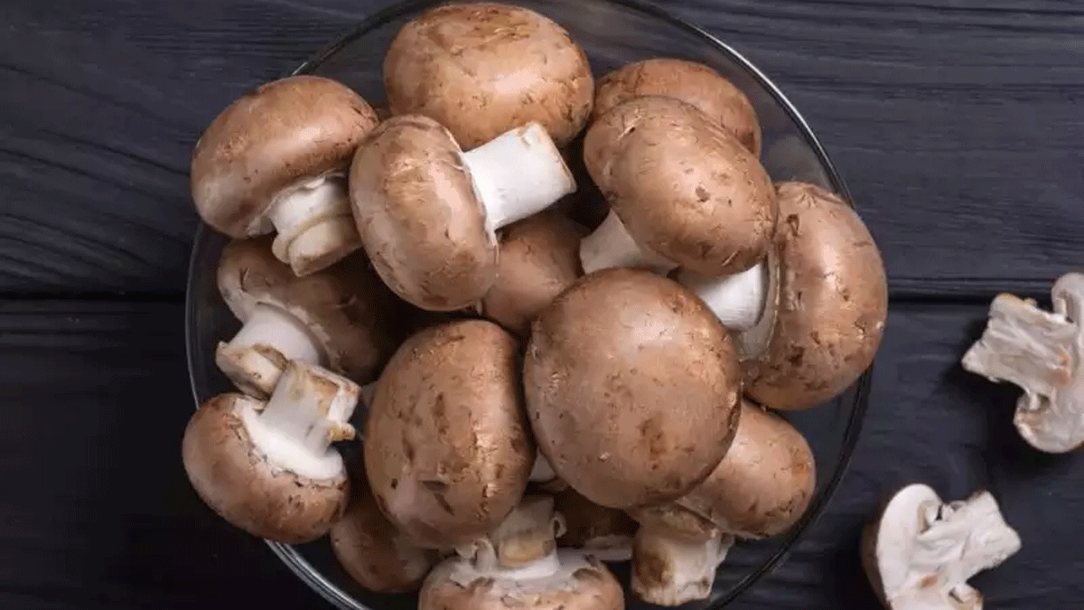 بينها المشروم.. هذه الأطعمة تذيب الدهون الزائدة في الجسم‎