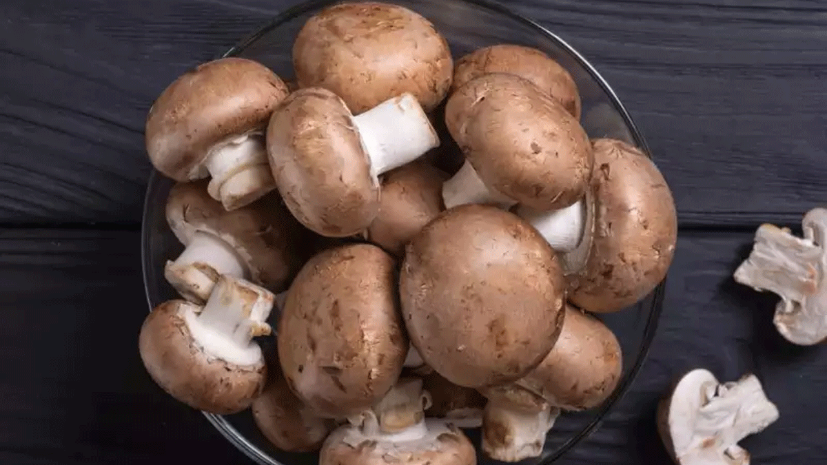 بينها المشروم.. هذه الأطعمة تذيب الدهون الزائدة في الجسم‎