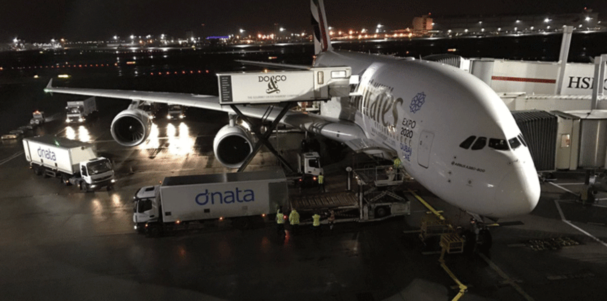 ثعبان داخل طائرة الإمارات يلغي رحلتها من مسقط إلى دبي