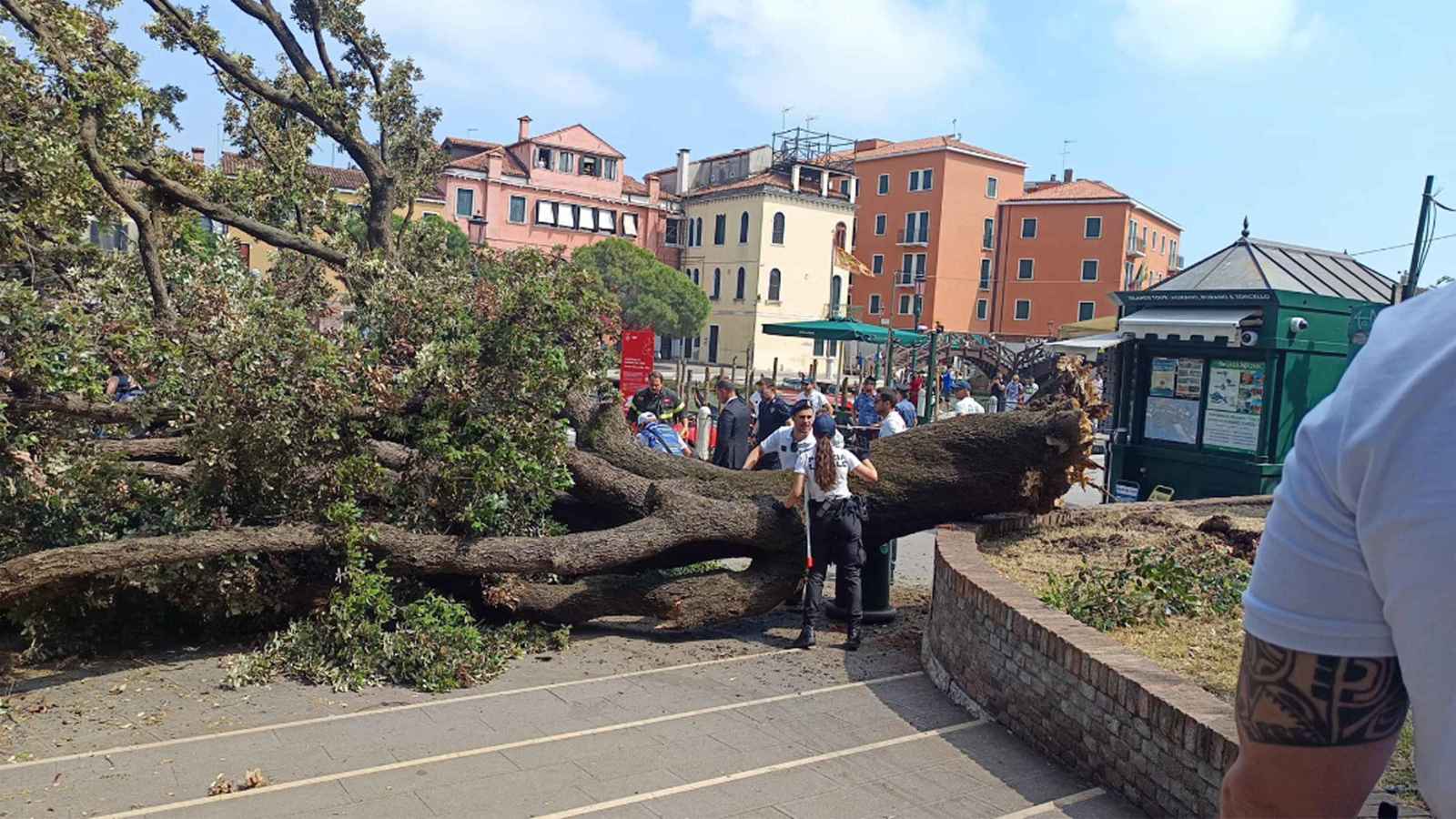 احتجاجات في قرية بريطانية بسبب شجرتين.. إنقاذ منزل أم جريمة بيئية؟ (فيديو إرم)