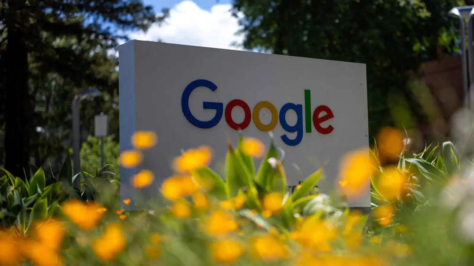 "AI" للمؤسسات.. غوغل تطلق ميزة التصفح التلقائي في "كروم"