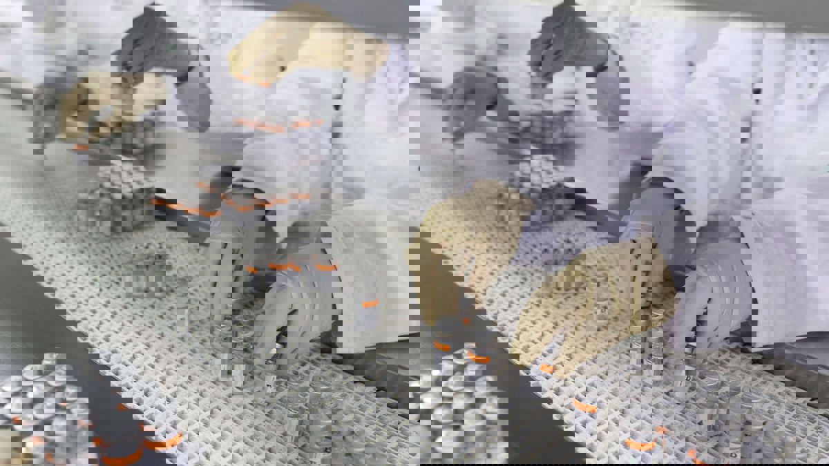 مصر تعلن إنتاج مليون جرعة من لقاح كورونا