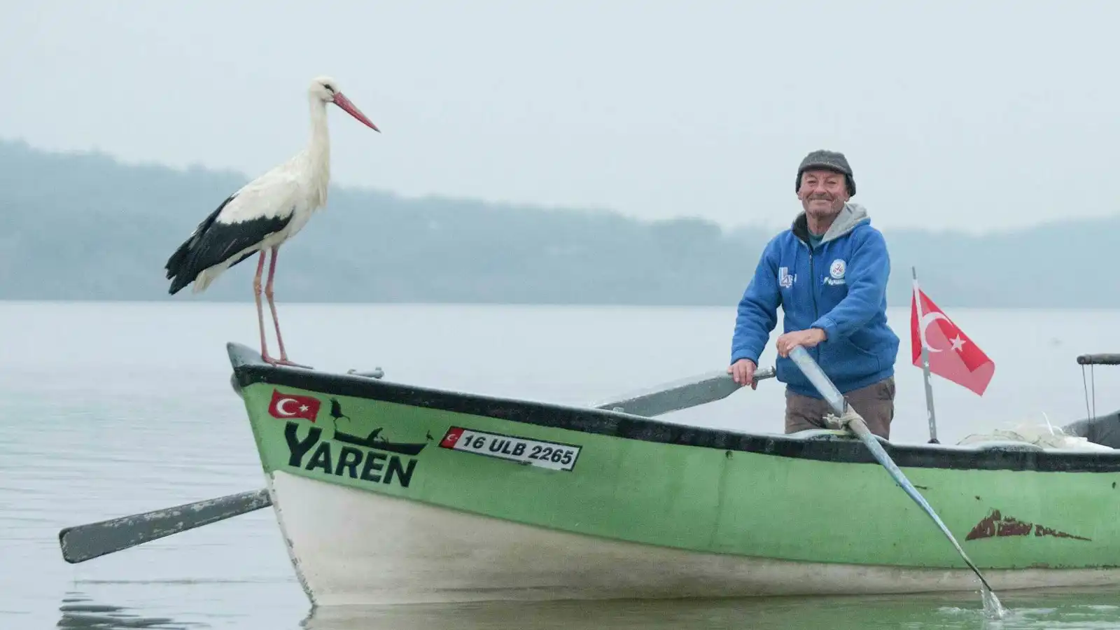 مفاجأة.. طائر لقلق تنبأ بزلزال تركيا الأخير قبل وقوعه (فيديو)