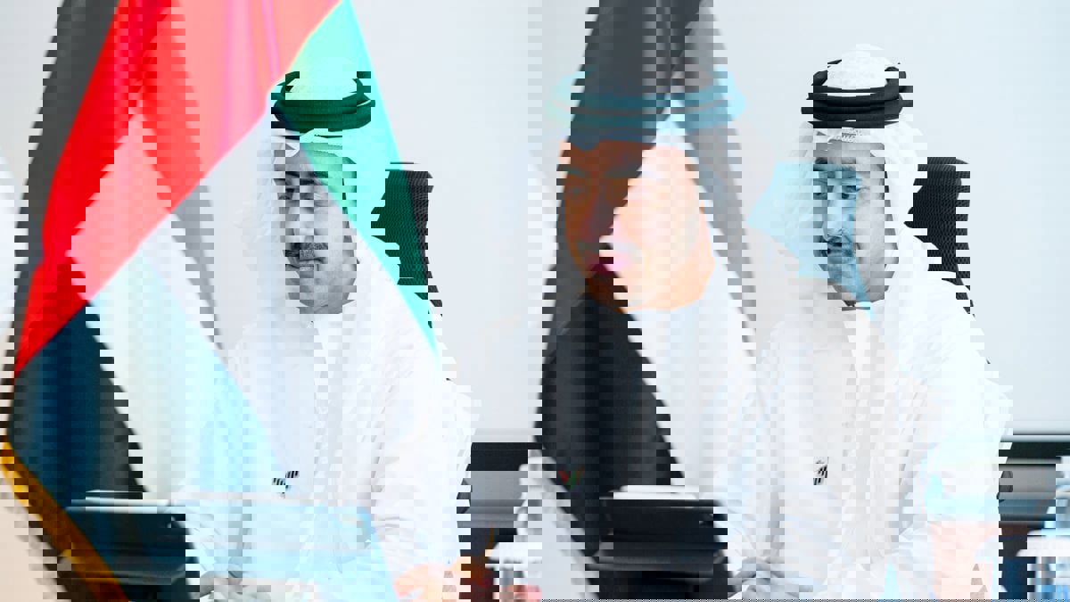 الإمارات: موقفنا ثابت بشأن إقامة دولة فلسطينية ومستمرون في دعم القضية (فيديو)