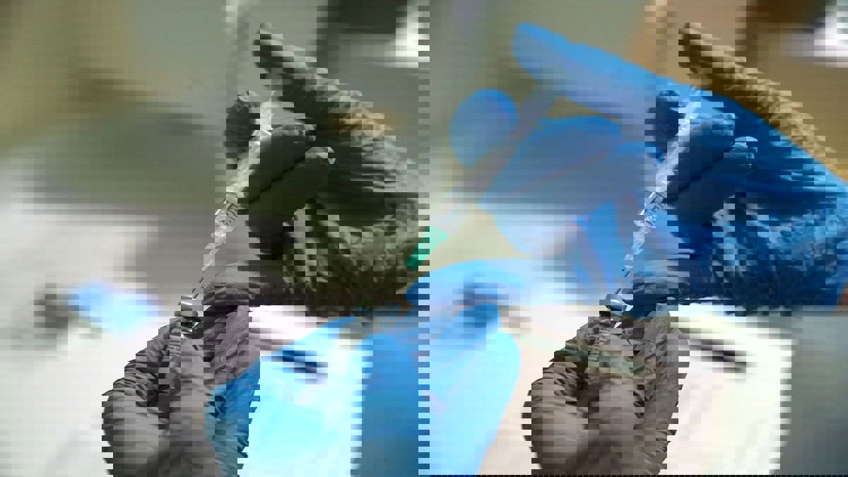 بلومبيرغ: أسواق الإمارات والسعودية تستعد لقيادة انتعاش المنطقة مع اقتراب لقاحات كورونا