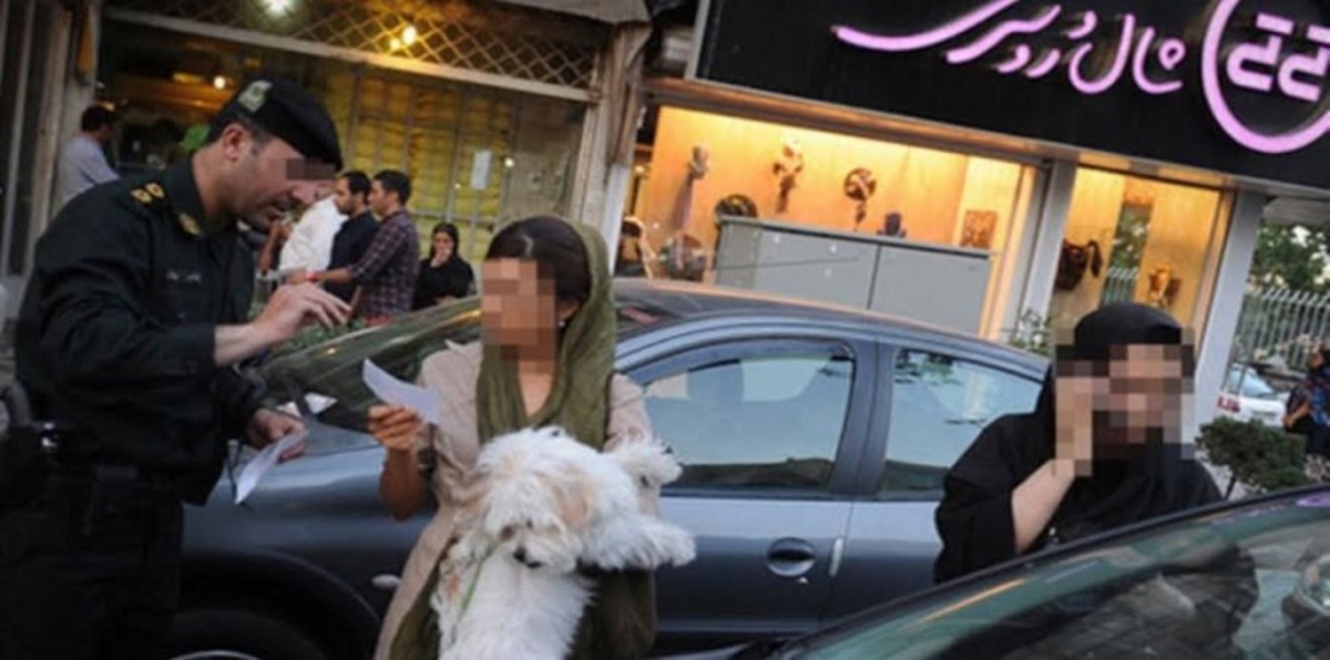 الشرطة الإيرانية تداهم المنازل لمصادرة الكلاب