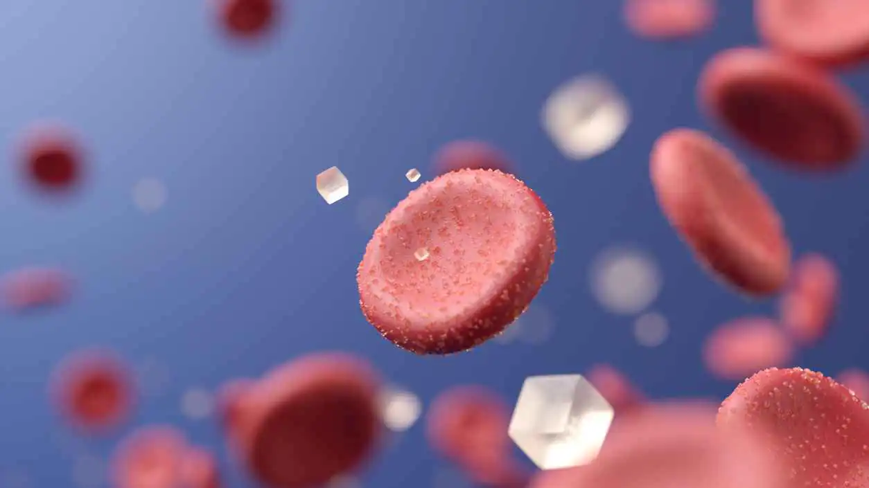 تغير المناخ يترك آثاراً فسيولوجية محتملة على البشر