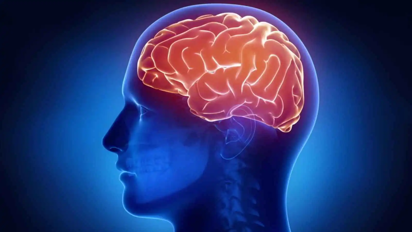 وجبة يومية شائعة تحسّن الذاكرة وتدعم قدرات الدماغ