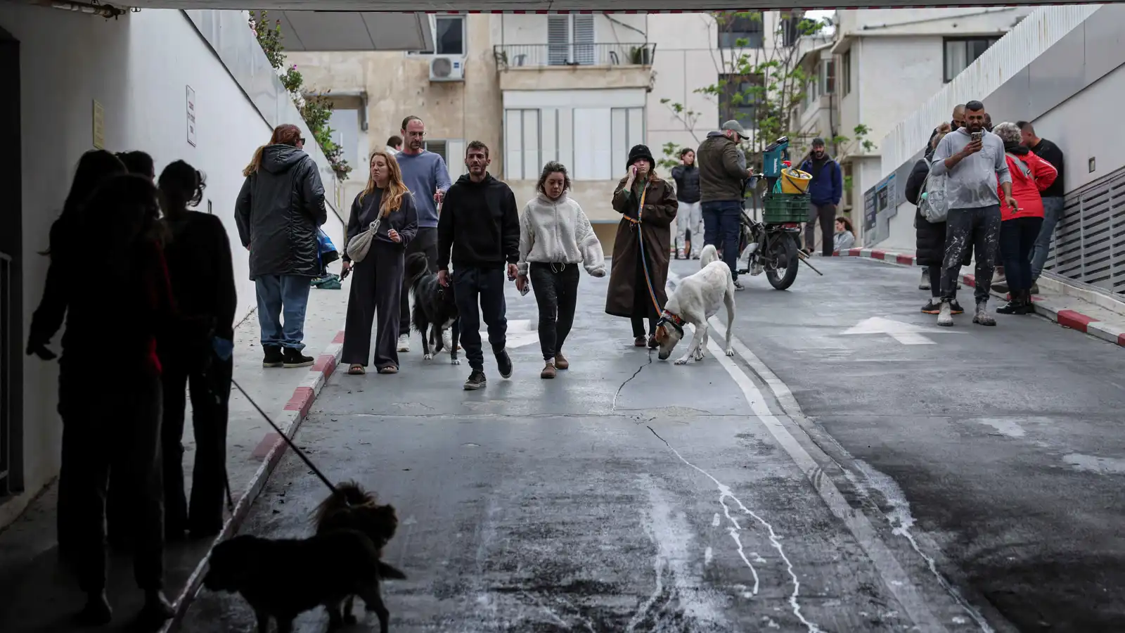 استطلاع: 30% من الشباب الإسرائيلي يفكر بالهجرة