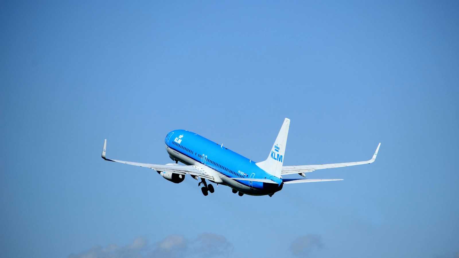 فأر طليق يُثير الفوضى على متن رحلة جوية (فيديو)