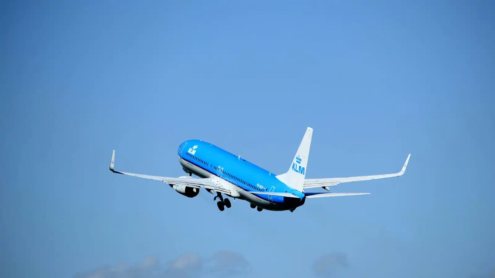 فأر طليق يُثير الفوضى على متن رحلة جوية (فيديو)