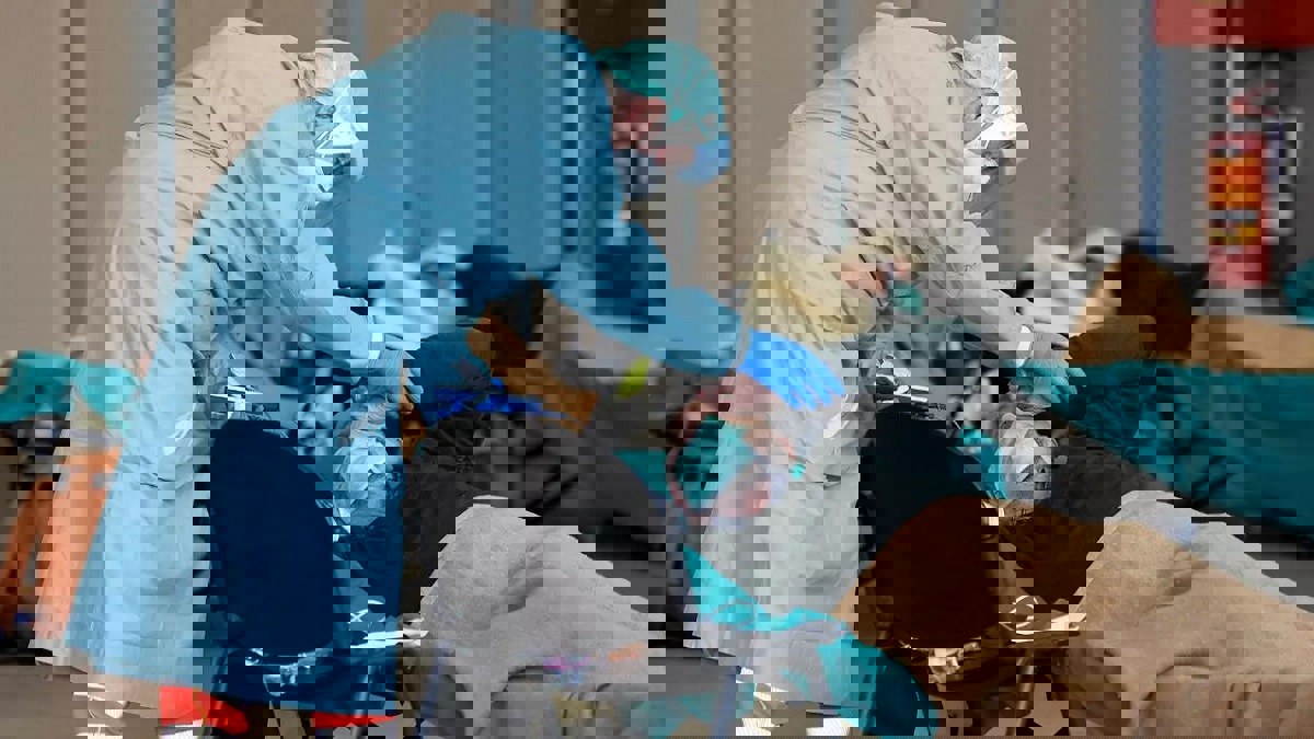 تونس ترسل فريقا طبيا إلى إيطاليا للمساعدة في مواجهة كورونا