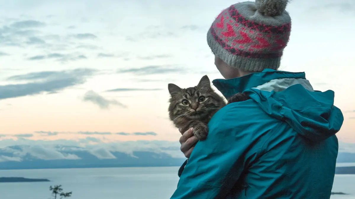 منع قط من السفر مع صاحبه بسبب وزنه (صور)