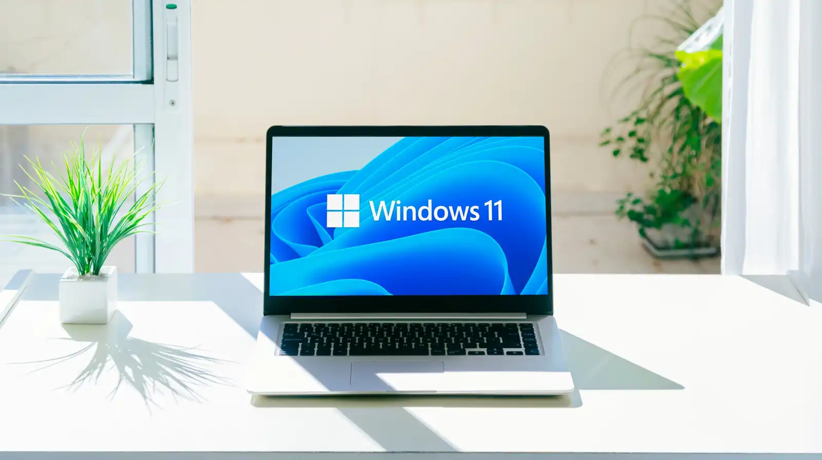 واجهة ويندوز