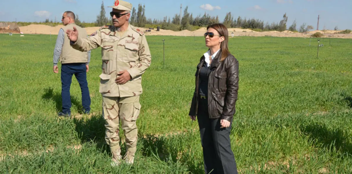 مصر تطلق مشروع تنمية سيناء بقرض سعودي قيمته 1.5 مليار دولار