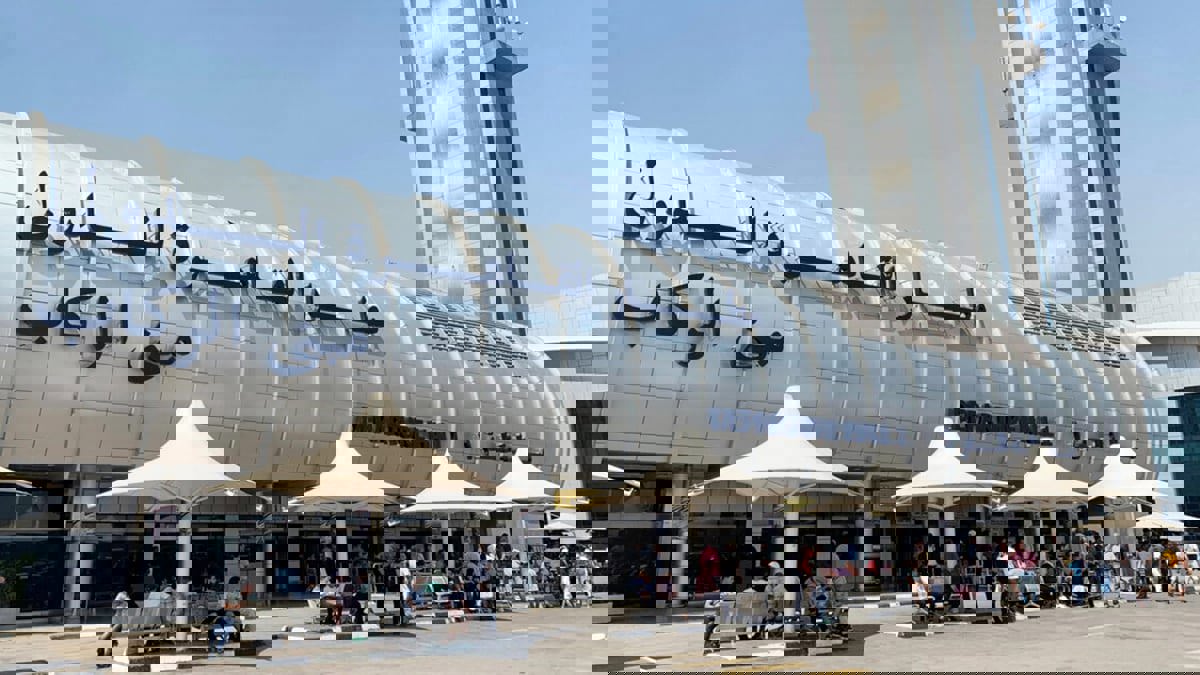 مصر تحبط محاولة تهريب عملات أجنبية داخل "دجاج مجمّد"