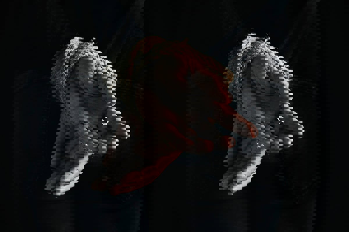 هل "زمرة الدم" السبب وراء اختطاف جزائري لجاره 30 عاما؟