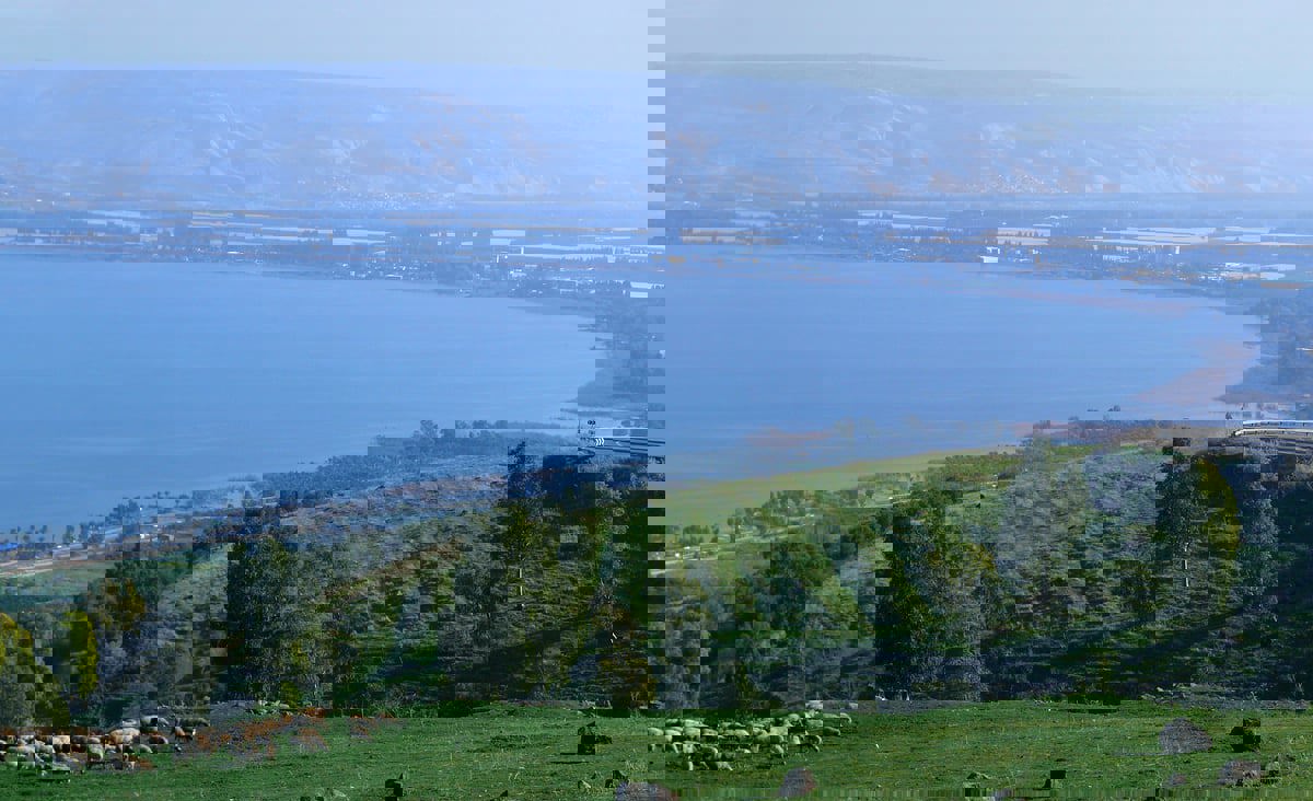 الأردن .. حرب غزة تعيد أزمة المياه إلى الواجهة   

